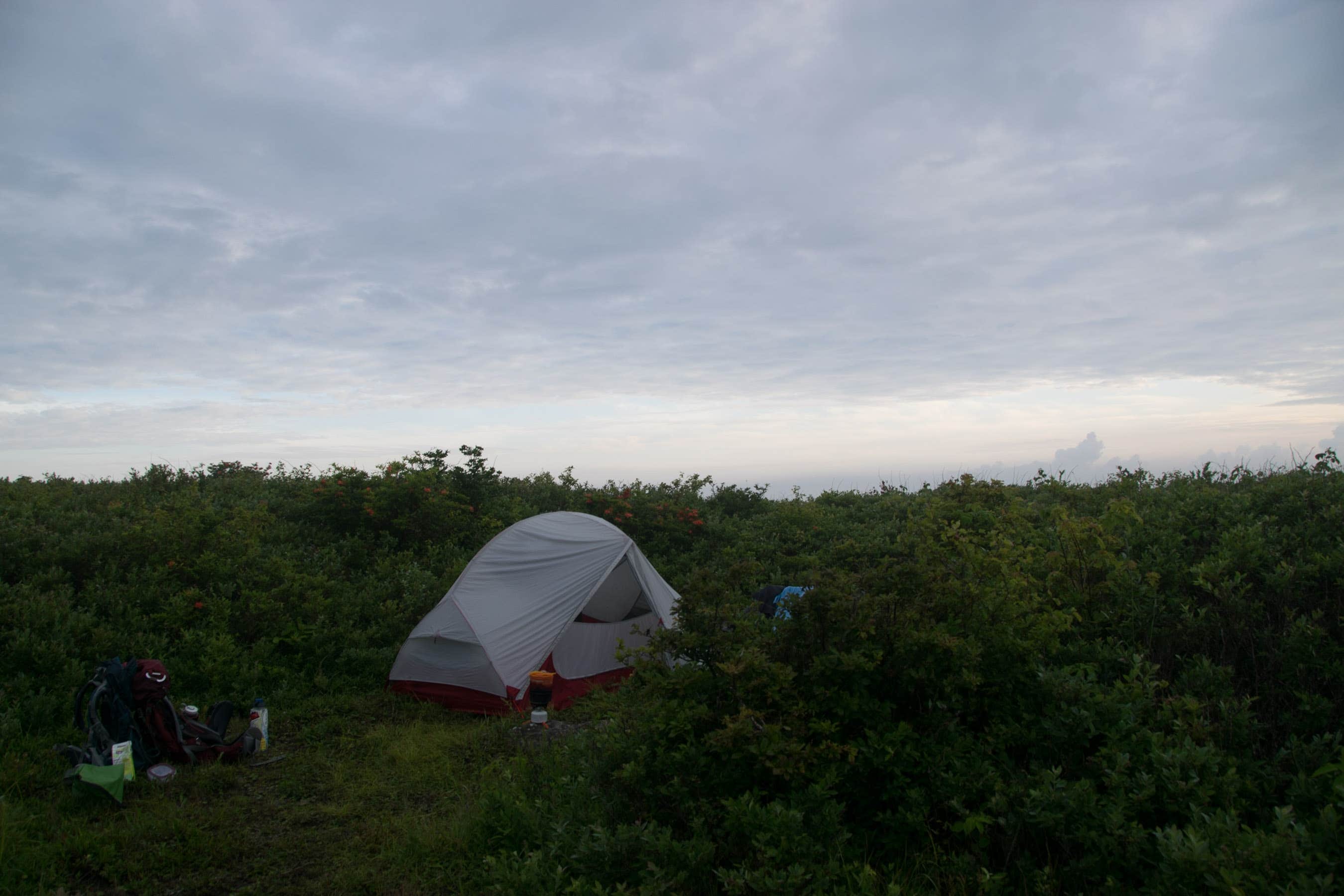 Campsites