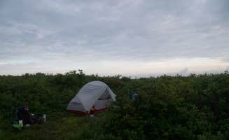 Tyler J.'s photo at Sheep Pen Gap Campsite near Croatan National Forest