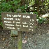 Review photo of Great Smoky Mountains National Park Big Creek Campground by Tyler J., March 20, 2020