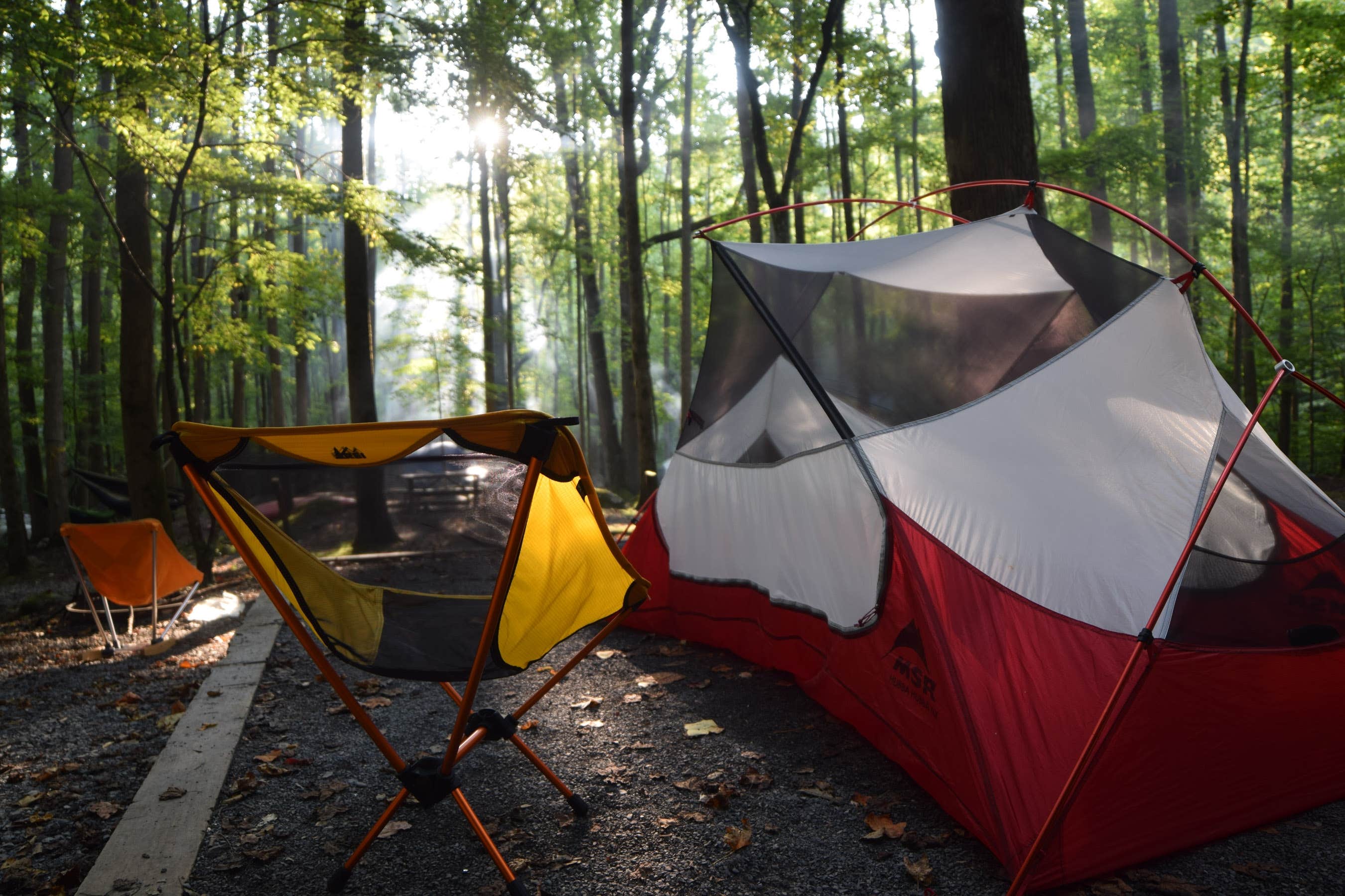 Tyler J.'s photo at Cosby Campground - Great Smoky Mountains National Park near Cosby, TN