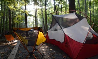 Tyler J.'s photo at Cosby Campground - Great Smoky Mountains National Park in Tennessee