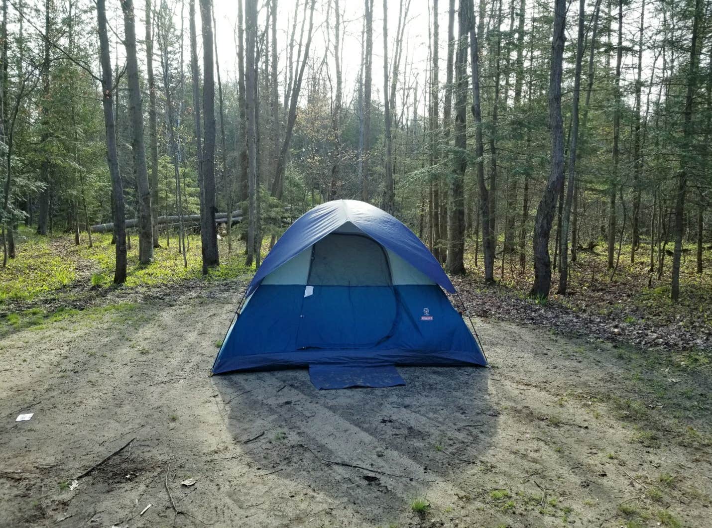 Camper submitted image from Spruce Rustic Campground — Rifle River Recreation Area - 4