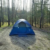 Review photo of Spruce Rustic Campground — Rifle River Recreation Area by RJ W., March 31, 2020