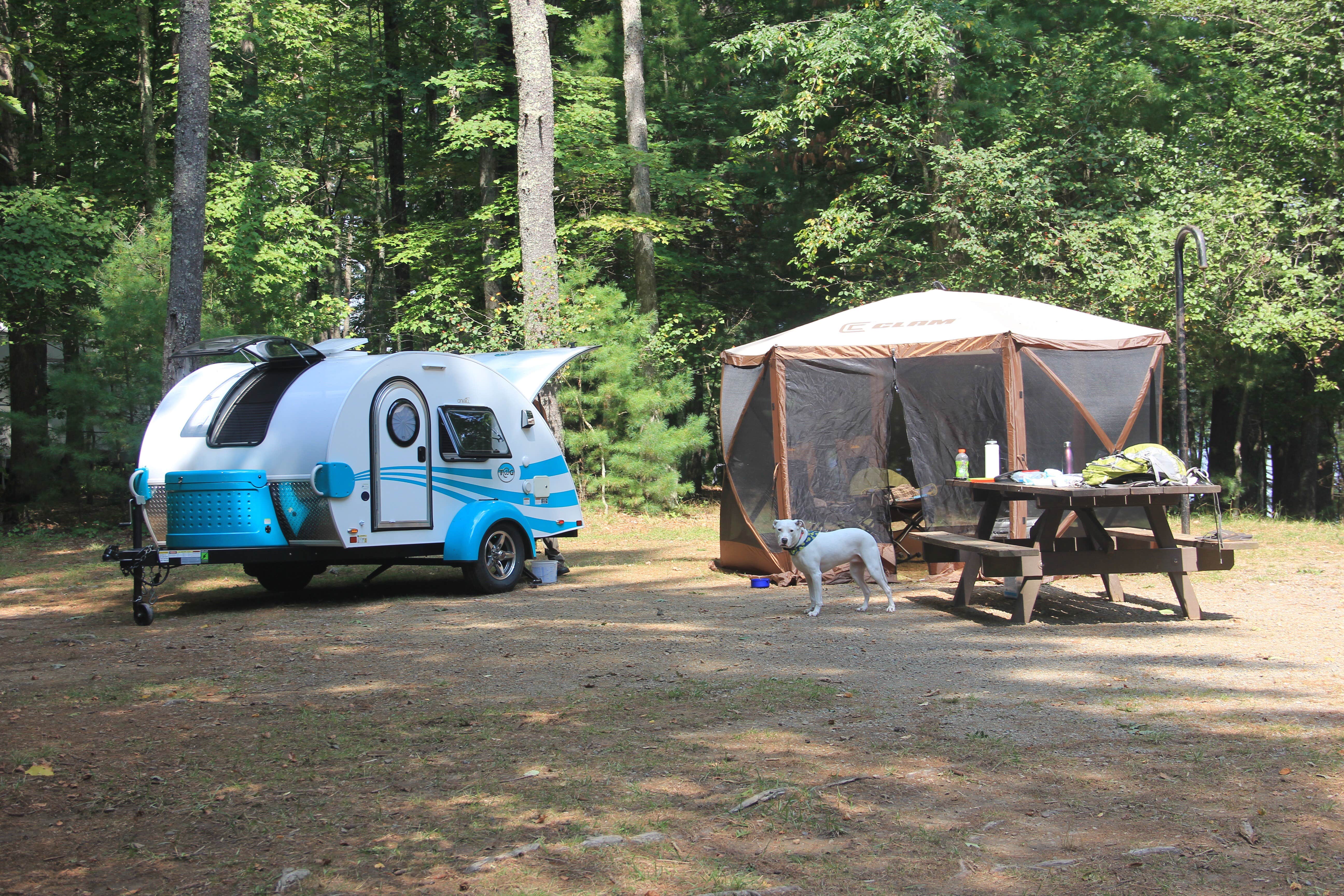 Pawsfuradventure T.'s photo at Lake Sherwood near Warm Springs, VA