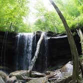 Review photo of Virgin Falls State Natural Area - Primitive by Tyler J., March 31, 2020