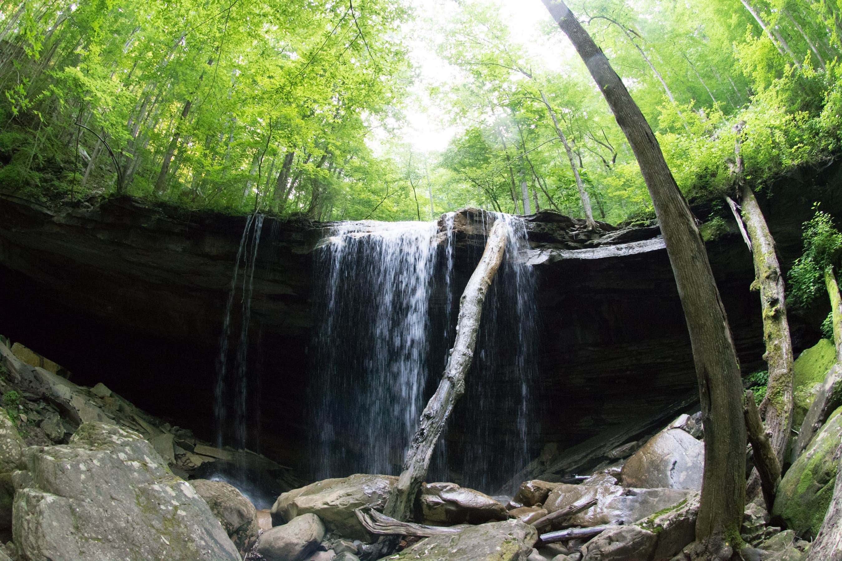 Camper submitted image from Virgin Falls State Natural Area - Primitive - 3