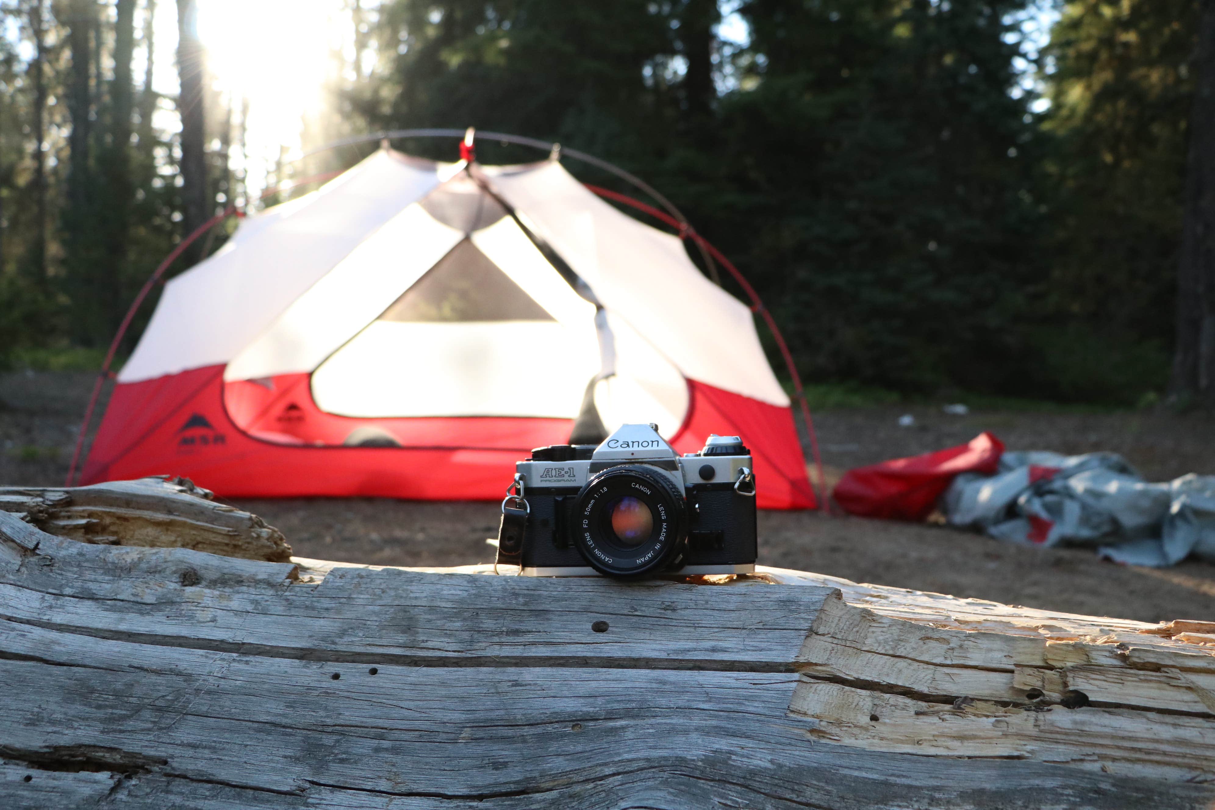 Camper submitted image from Trillium Lake - 4