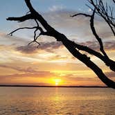 Review photo of Escribano Point WMA Bayside Campground - CLOSED by GoWhereYouAreDraw N., March 26, 2020