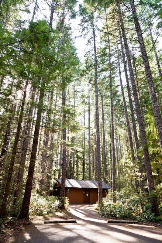 Camper-submitted photo at Skokomish Park at Lake Cushman near Lilliwaup, WA