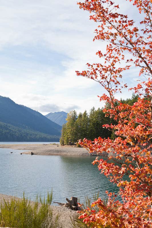 Camper-submitted photo at Skokomish Park at Lake Cushman near Lilliwaup, WA