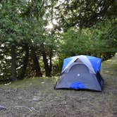 Review photo of Rock Island State Park Campground by Katie G., March 31, 2020