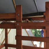 Review photo of Lost Lake Resort And Campground — Mt. Hood National Forest by Shawna M., June 30, 2016