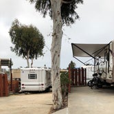Review photo of Oceanside RV Resort by Corinna B., March 31, 2020