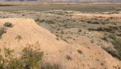 Camper-submitted photo at Overton Wildlife Management Area near Overton, NV
