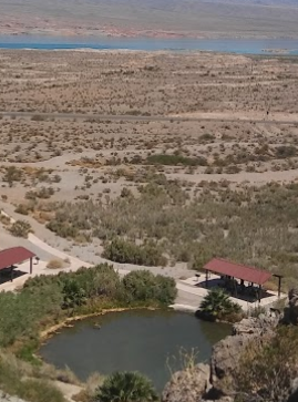 Camping near Palm Creek Ranch: Overton Wildlife Management Area, Overton, Nevada