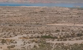 Camping near Flat Desert Dispersed Site: Overton Wildlife Management Area, Overton, Nevada