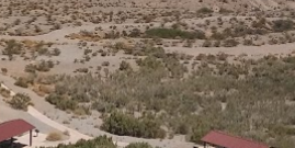 Camper submitted image from Overton Wildlife Management Area