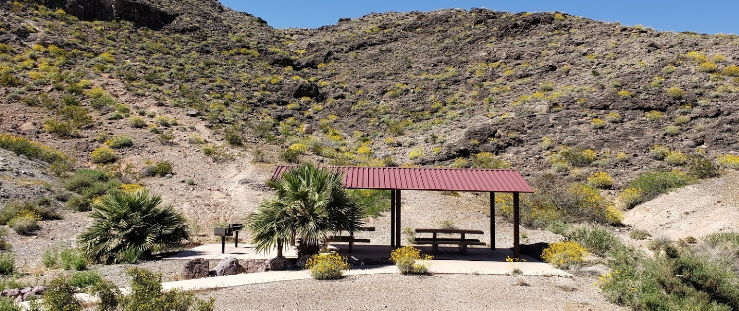 Camper-submitted photo at Overton Wildlife Management Area near Overton, NV