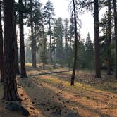 Review photo of Manzanita Lake Campground — Lassen Volcanic National Park by Corinna B., November 1, 2019