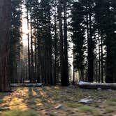 Review photo of Manzanita Lake Campground — Lassen Volcanic National Park by Corinna B., November 1, 2019