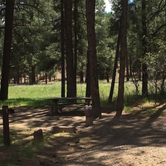Review photo of Ute Campground by Hayley K., March 10, 2020