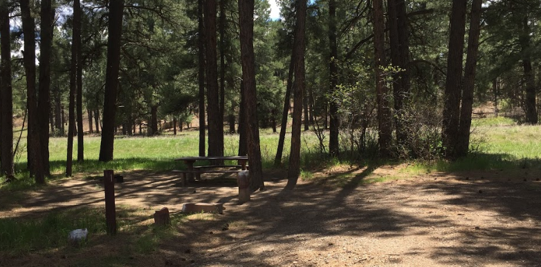 Camper submitted image from Ute Campground - 5