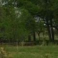 Review photo of Cherry Creek State Park Campground by Hayley K., March 26, 2020