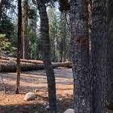 Review photo of Summit Lake South — Lassen Volcanic National Park by Corinna B., March 31, 2020