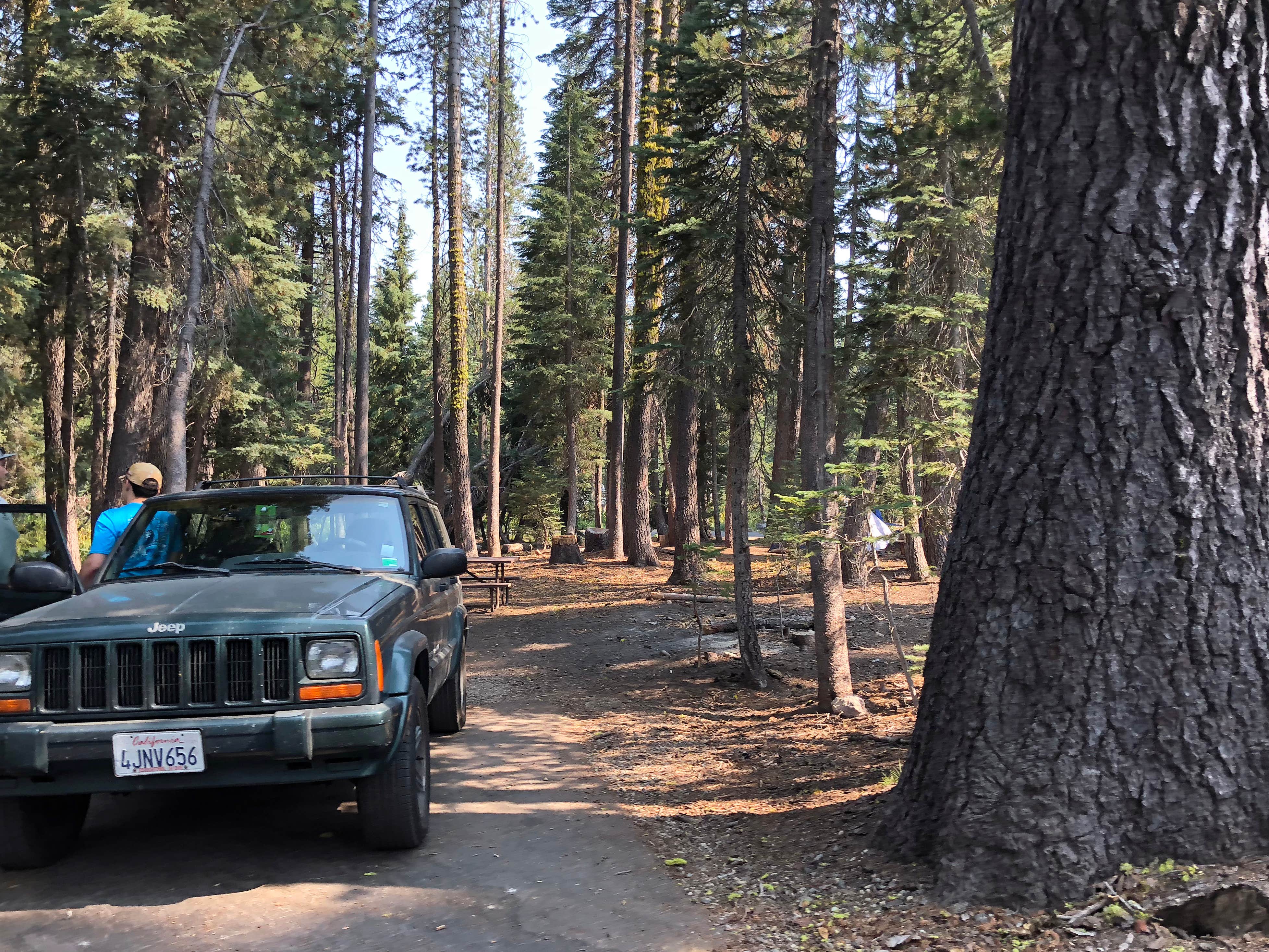 Camper submitted image from Summit Lake South — Lassen Volcanic National Park - 4