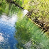 Review photo of Manatee Springs State Park Campground by GoWhereYouAreDraw N., March 31, 2020