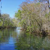 Review photo of Manatee Springs State Park Campground by GoWhereYouAreDraw N., March 31, 2020