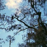 Review photo of Manatee Springs State Park Campground by GoWhereYouAreDraw N., March 31, 2020