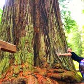 Review photo of Elk Prairie Campground — Prairie Creek Redwoods State Park by Crystal C., April 1, 2020