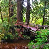 Review photo of Elk Prairie Campground — Prairie Creek Redwoods State Park by Crystal C., April 1, 2020