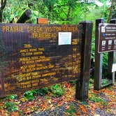 Review photo of Elk Prairie Campground — Prairie Creek Redwoods State Park by Crystal C., April 1, 2020
