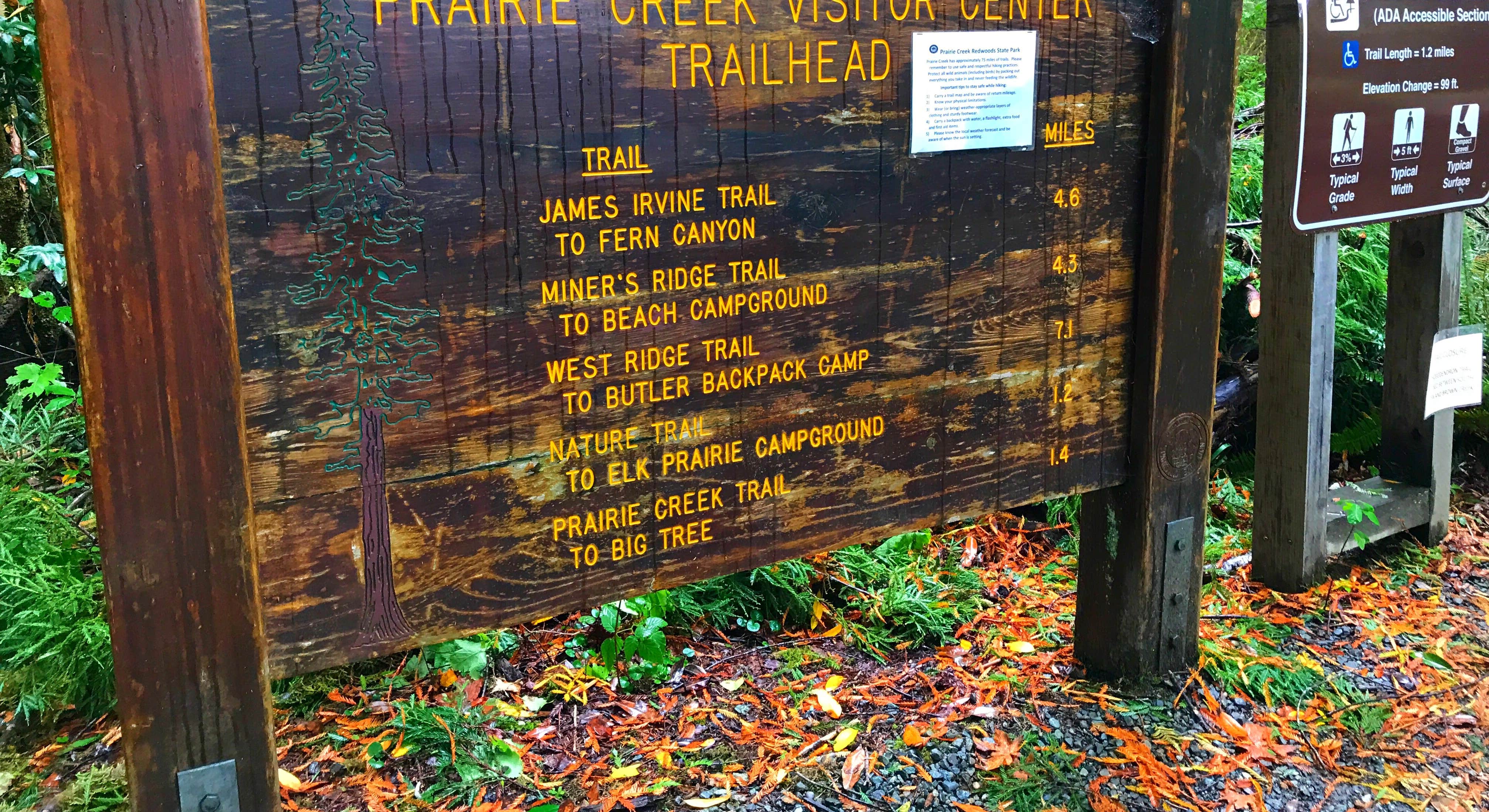 Park and Camping Signs at Elk Prairie Campground near Prairie Creek Redwoods State Park