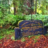 Review photo of Elk Prairie Campground — Prairie Creek Redwoods State Park by Crystal C., April 1, 2020