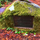 Review photo of Elk Prairie Campground — Prairie Creek Redwoods State Park by Crystal C., April 1, 2020