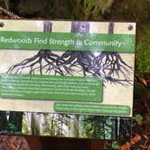 Review photo of Elk Prairie Campground — Prairie Creek Redwoods State Park by Crystal C., April 1, 2020