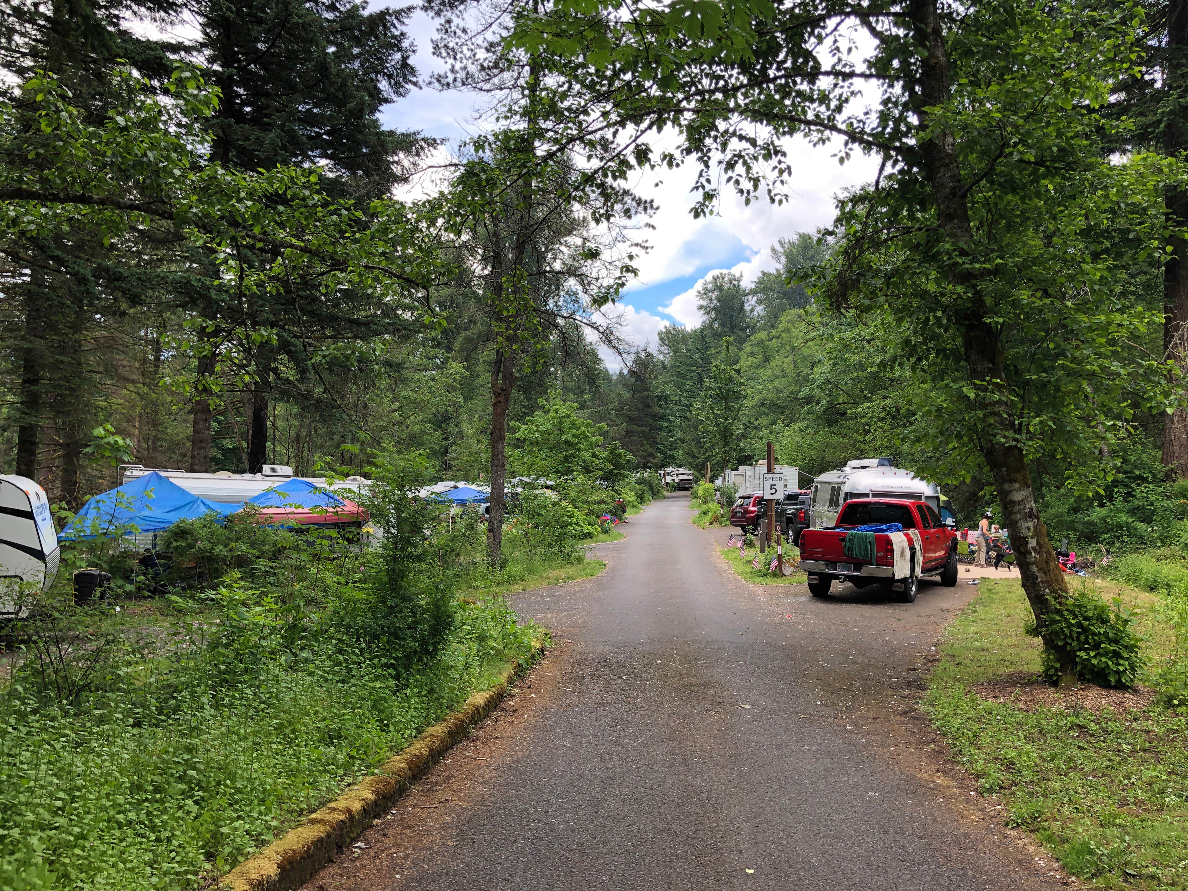 Brian C.'s photo at Ainsworth State Park Campground near Gresham, OR