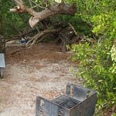 Review photo of Garden Key Campground — Dry Tortugas National Park by Jean C., April 1, 2020