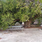 Review photo of Garden Key Campground — Dry Tortugas National Park by Jean C., April 1, 2020