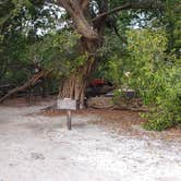 Review photo of Garden Key Campground — Dry Tortugas National Park by Jean C., April 1, 2020