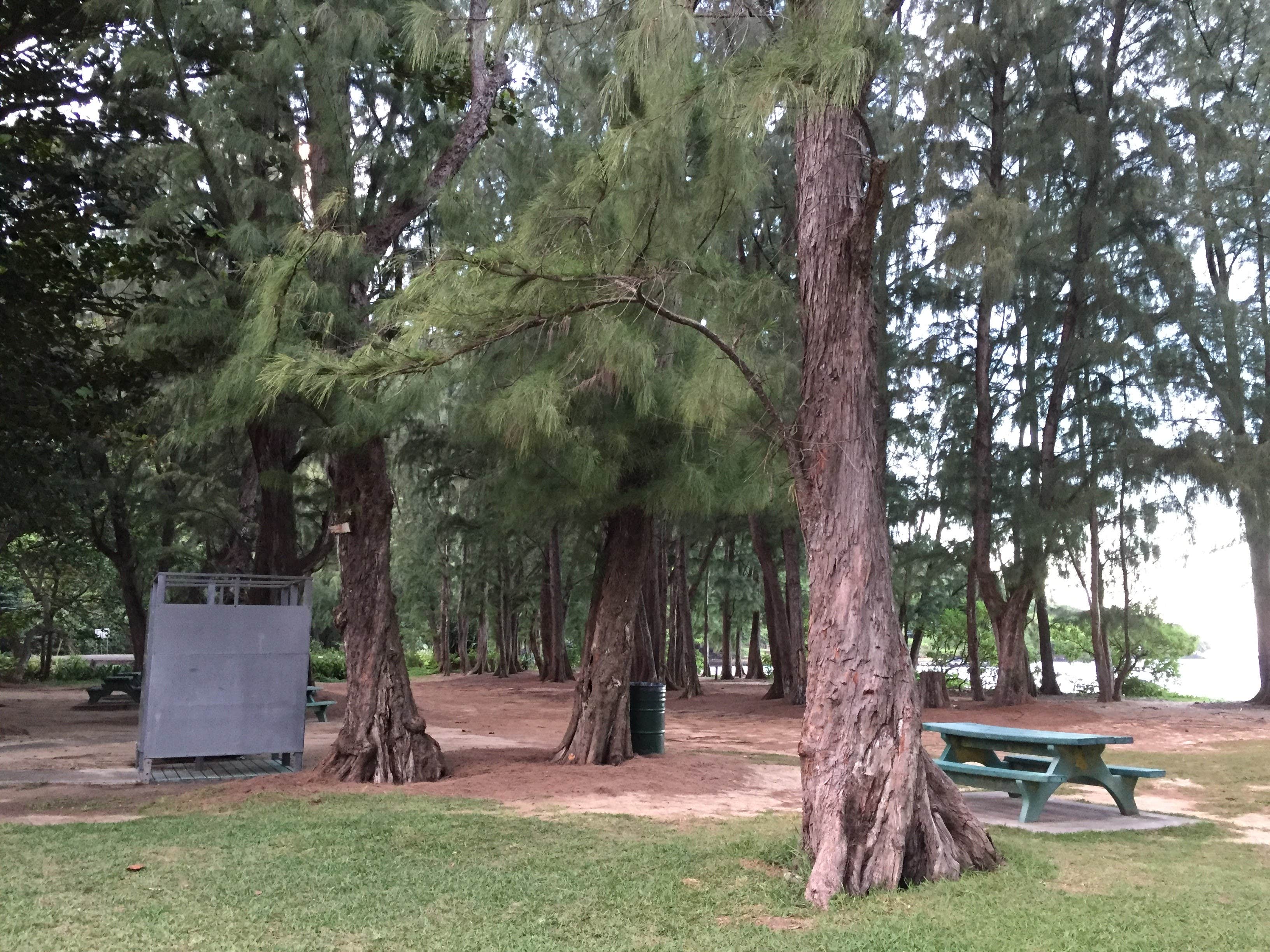 Camper-submitted photo at Kahana Campground — Ahupuaʻa ʻO Kahana State Park near Waipio, HI