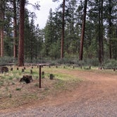 Review photo of Indian Ford Campground by Brian C., July 1, 2019