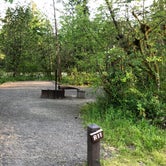 Review photo of Fishermens Bend - TEMPORARILY CLOSED TO CAMPING by Brian C., October 31, 2019