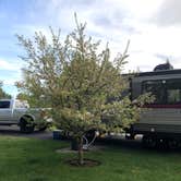 Review photo of Bend / Sisters Garden RV Resort by Brian C., July 1, 2019