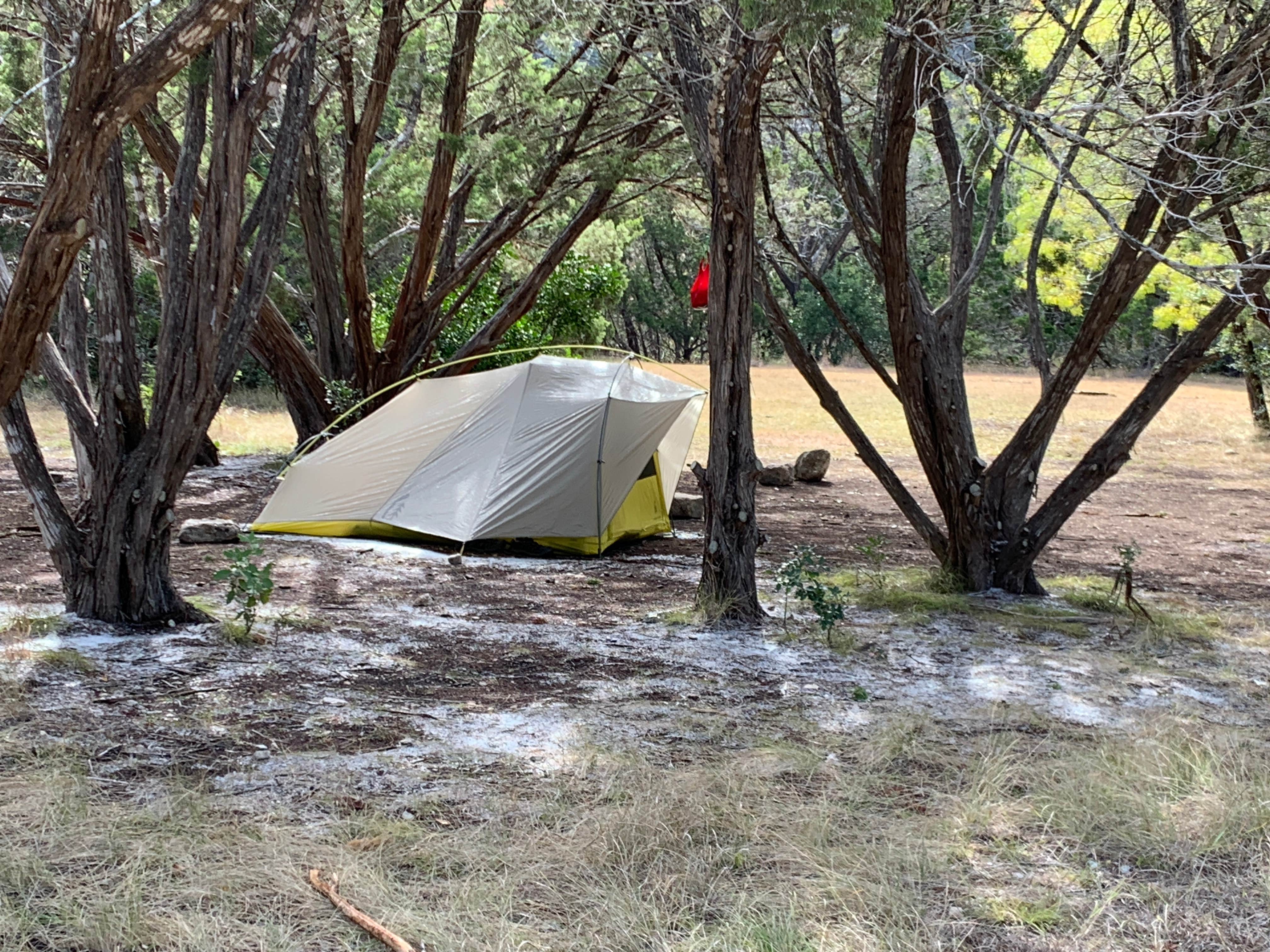 Troy W.'s photo at Lost Maples State Natural Area Campground near Vanderpool, TX