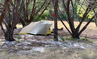 Troy W.'s photo at Lost Maples State Natural Area Campground near Vanderpool, TX
