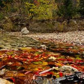 Review photo of Lost Maples State Natural Area by Troy W., April 1, 2020